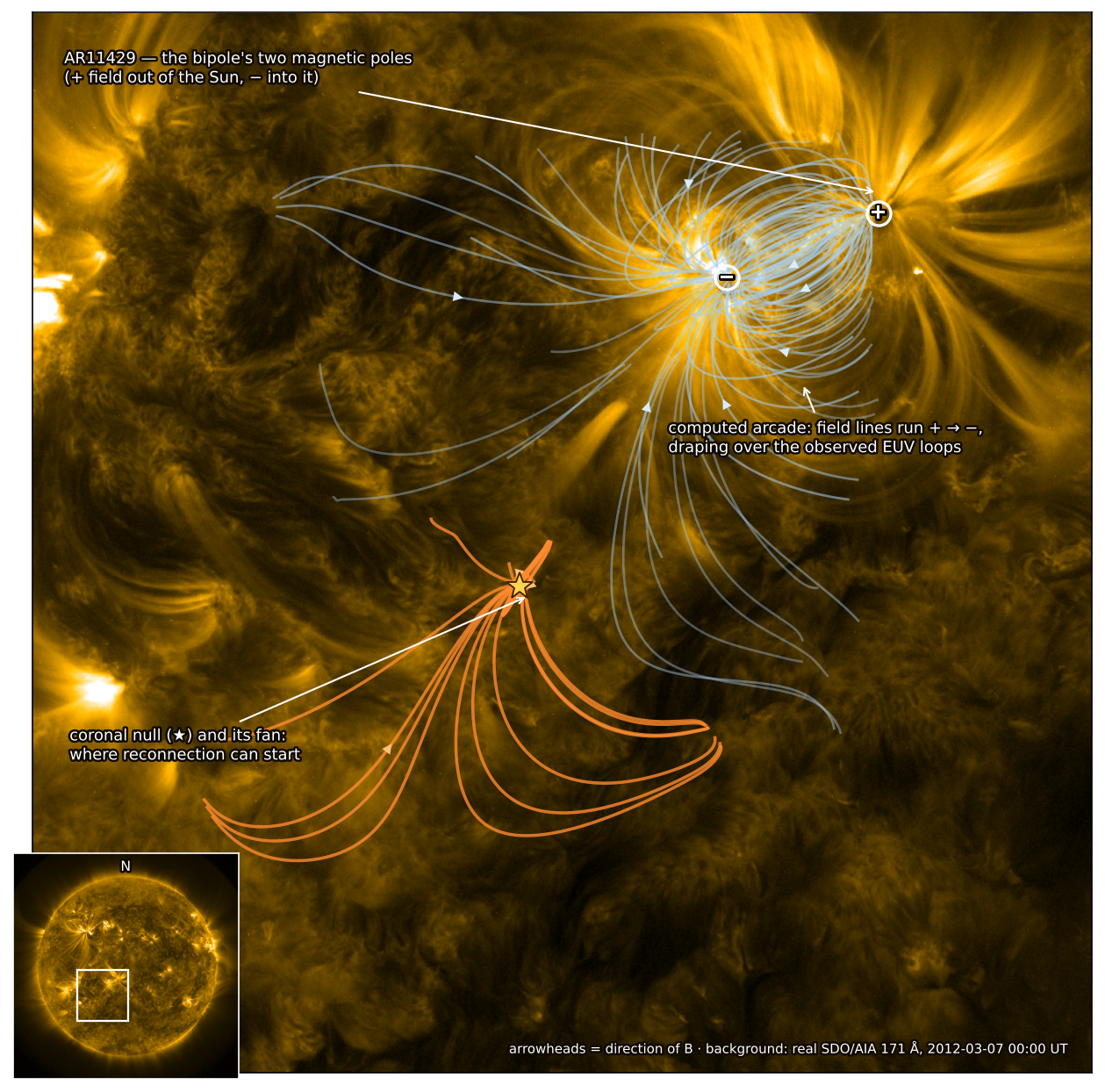 The real SDO/AIA 171 angstrom EUV corona of AR11429, glowing loop systems in gold, with our extrapolated potential-field lines overlaid: the blue arcade draping over the observed loops and the long orange fan of the null sweeping across the frame from the starred null